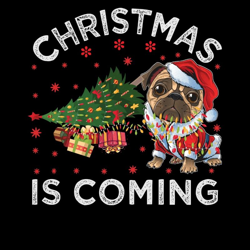 Noël arrive version chien