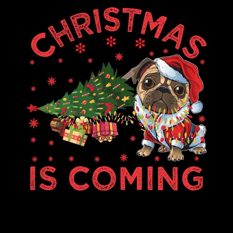 Noël arrive version chien