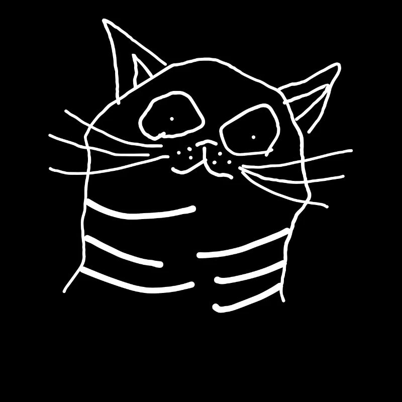 Chat