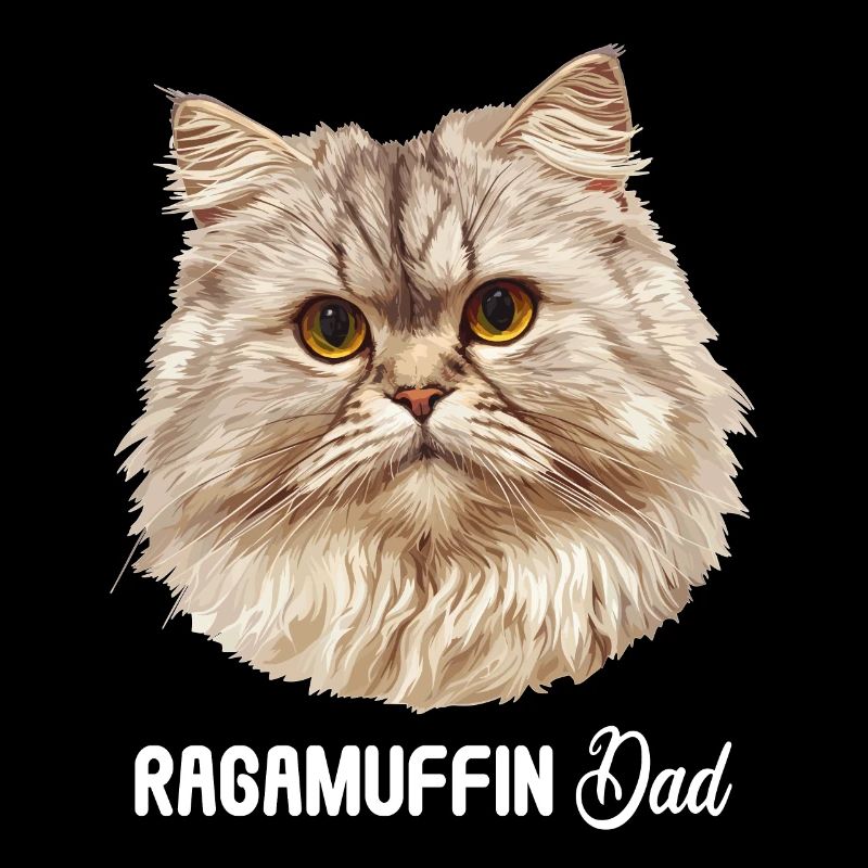Ragamuffin Kätzchen Ragamuffin Katze