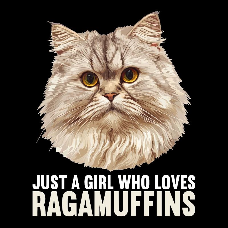 Ragamuffin Kätzchen Ragamuffin Katze