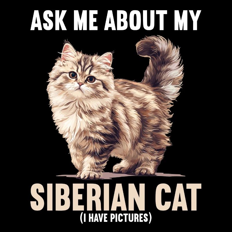 Chat Sibérien Sibirische Katze