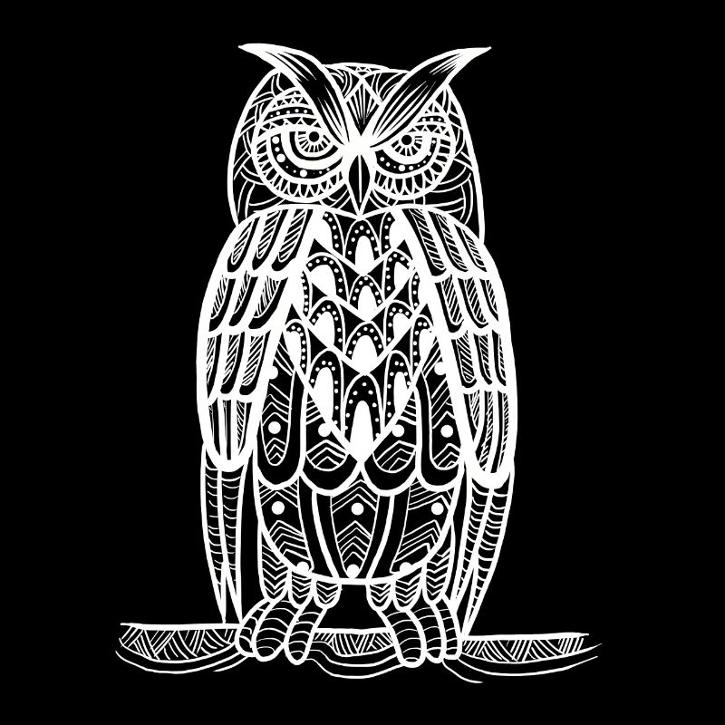 Owl Vector Art Predator Bird Nocturnal Birds Lover