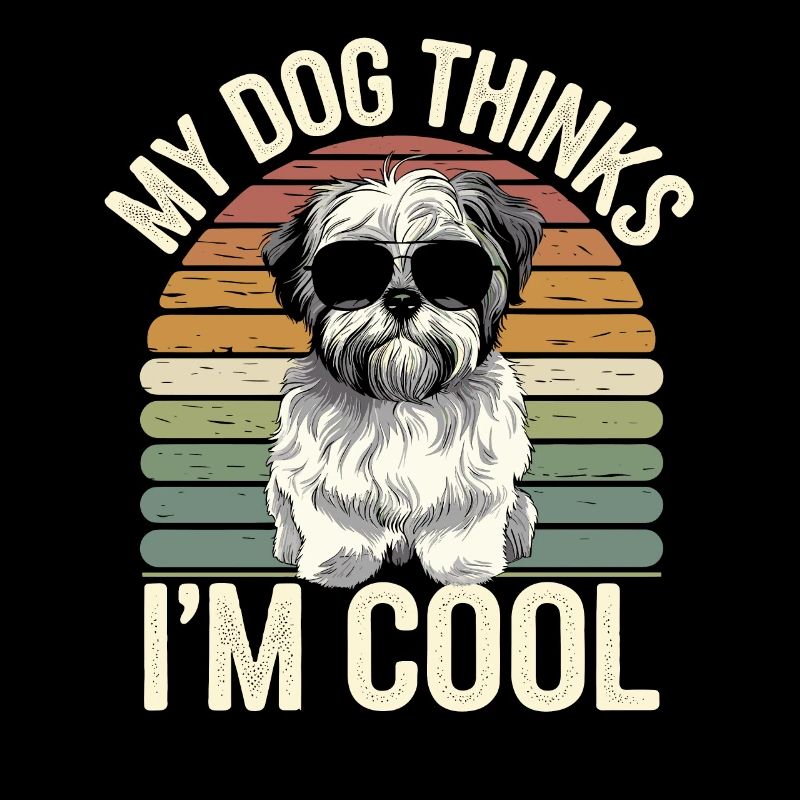 Shi Shitzu Mein Hund Denkt Das Ich Cool Bin