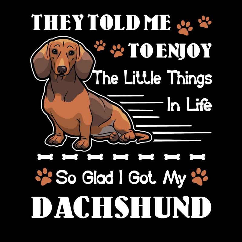 Dachshund I Got My Dachshund