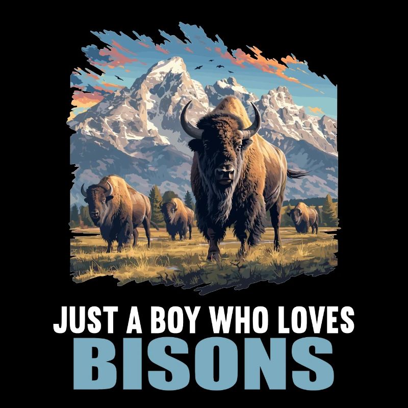 Bisons Bison
