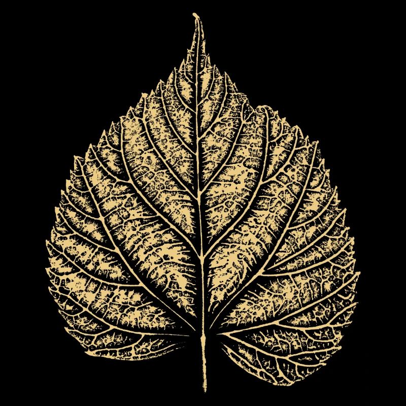 Linden leaf / Linden leaf 2