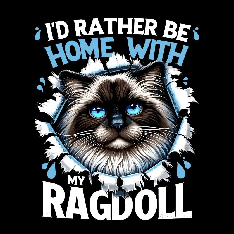 Je préfère être à la maison avec mon propriétaire Ragdoll Ragdolls