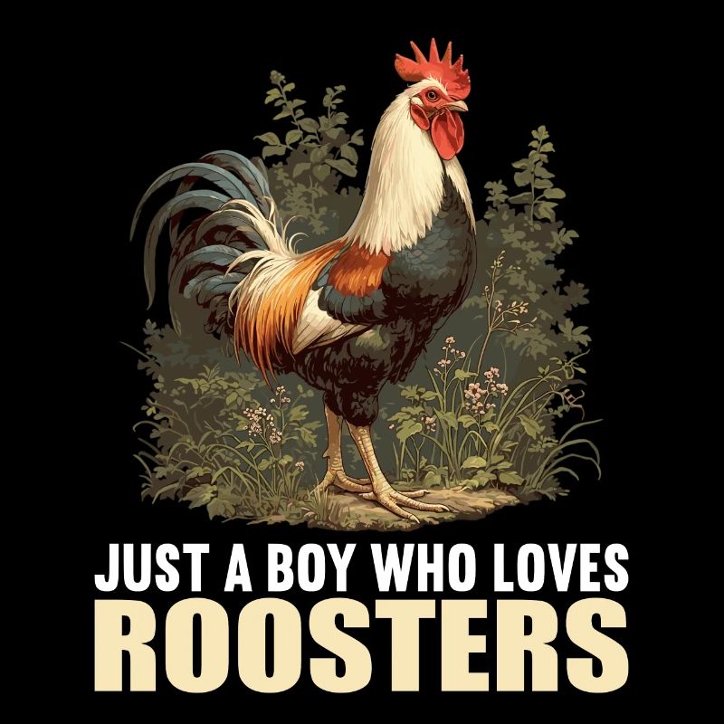 Rooster Roosters Rooster