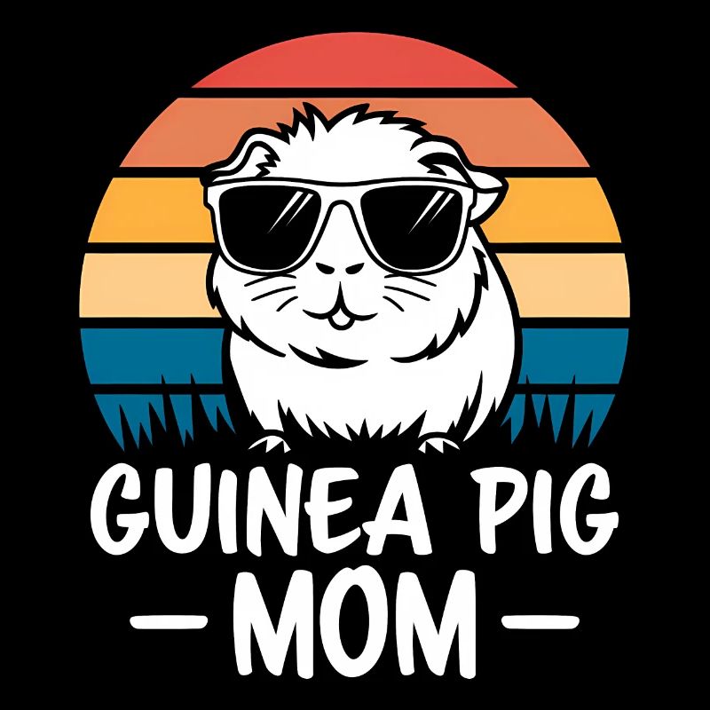 Dicton de cochon d’Inde, Cadeau de cochon d’Inde