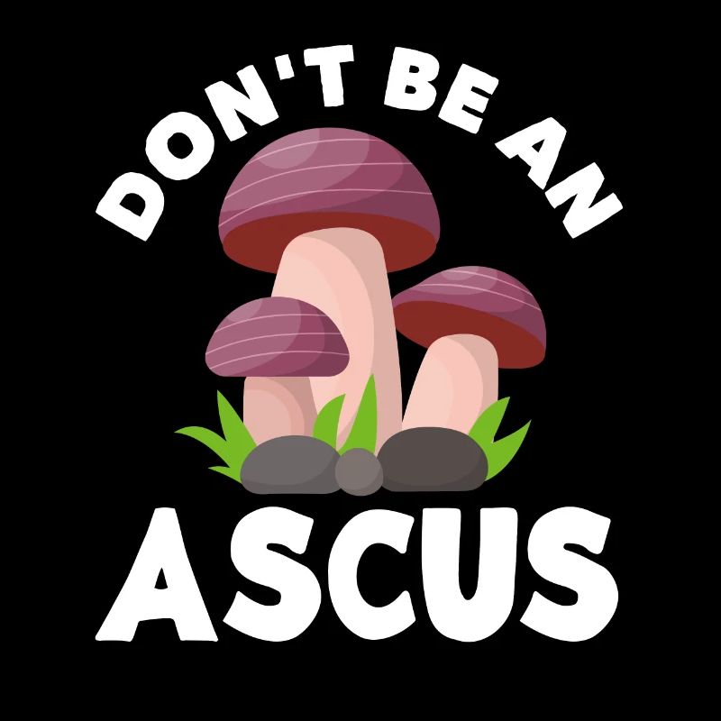 Le cueilleur de champignons n’est pas un champignon asque