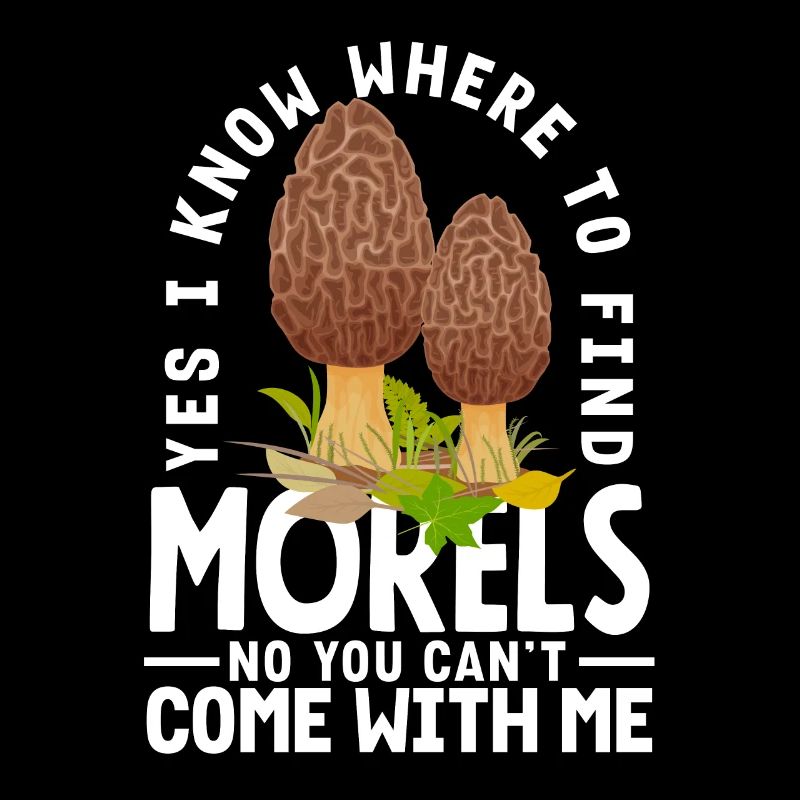 Yes, I know where to find morels