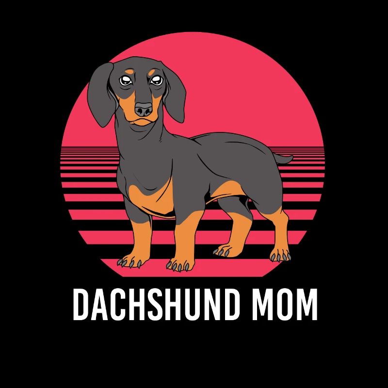 Dachshund