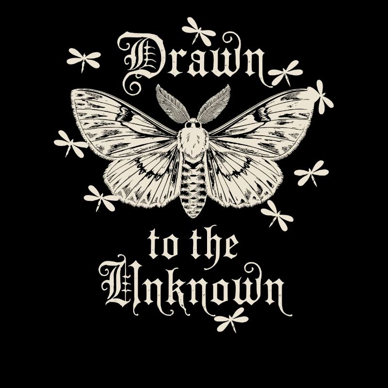 Attracted by the Unknown Butterfly Art
