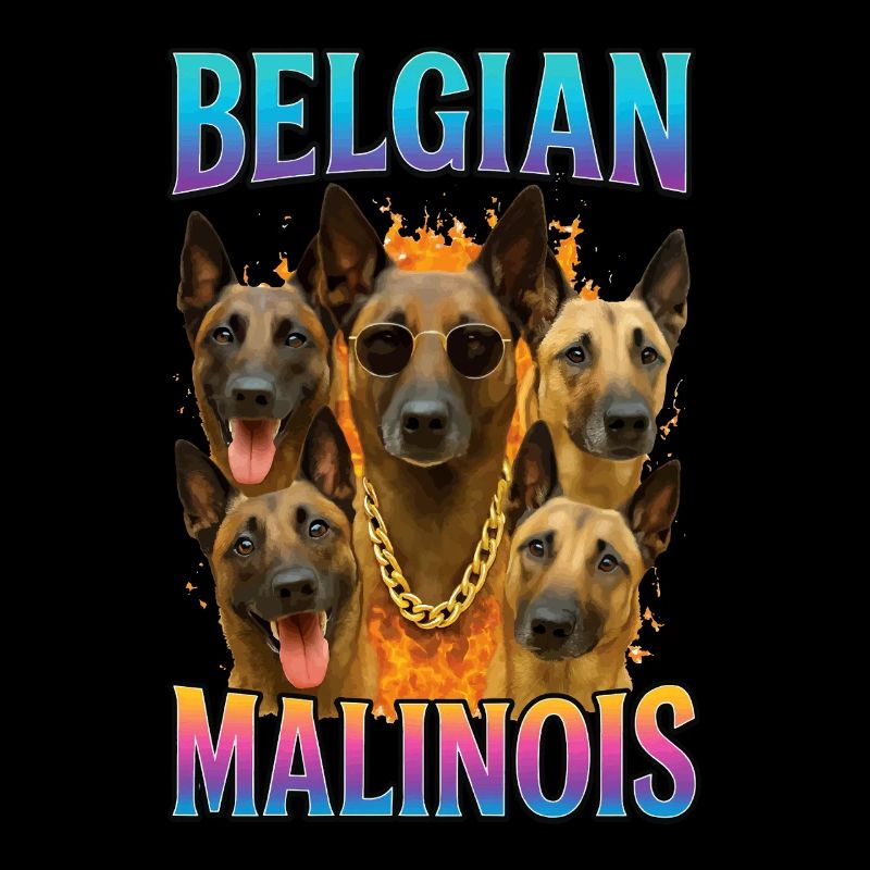 Belgischer Malinois