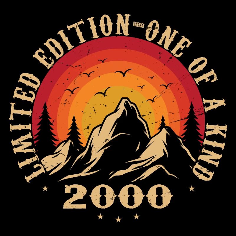 Vintage 2000 Retro 2000 Geburtstagsgeschenk 2000