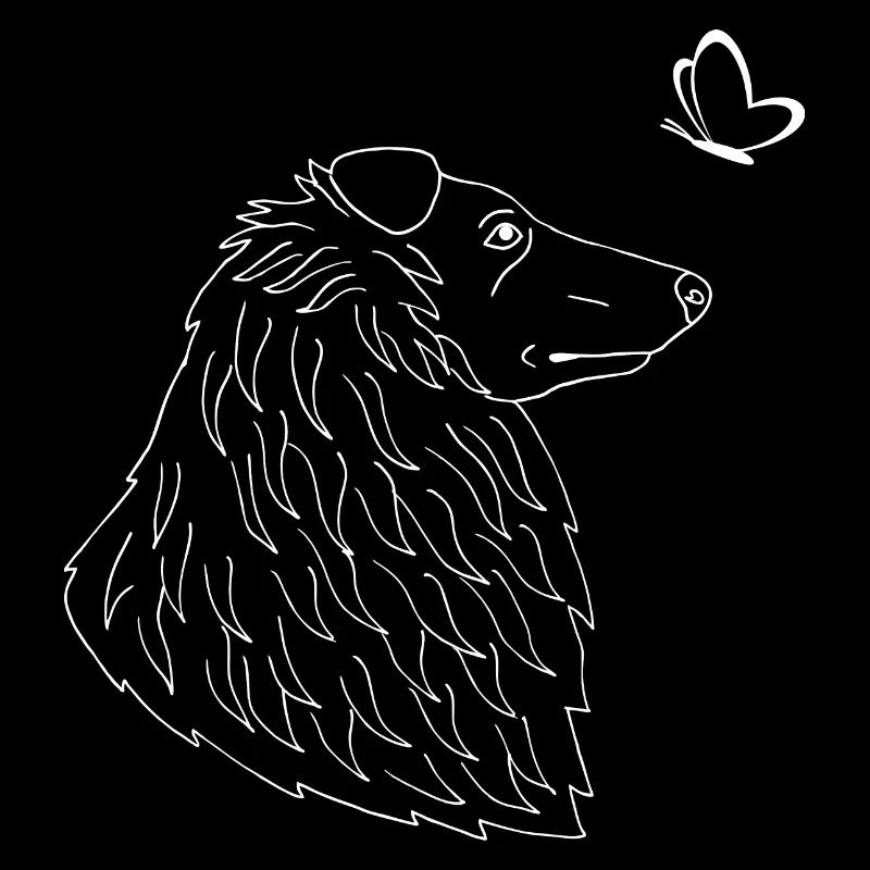 Collie mit Schmetterling