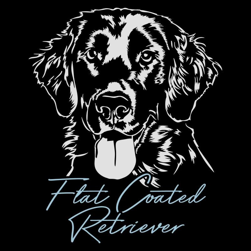 FLAT COATED RETRIEVER Chiens Chien de chasse Wilsigns