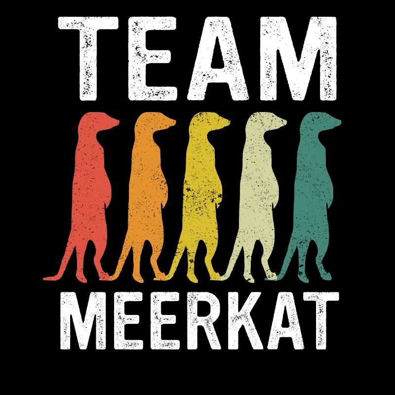 Erdmännchen Tier Erdmann