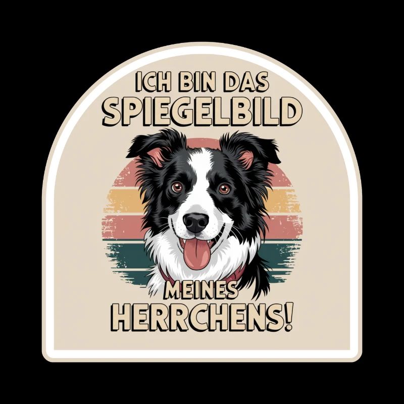 Border Collie chien reflet de mon maître