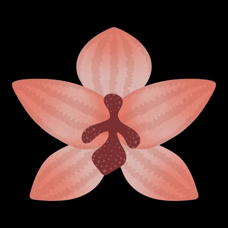 Fleur d’orchidée pastel