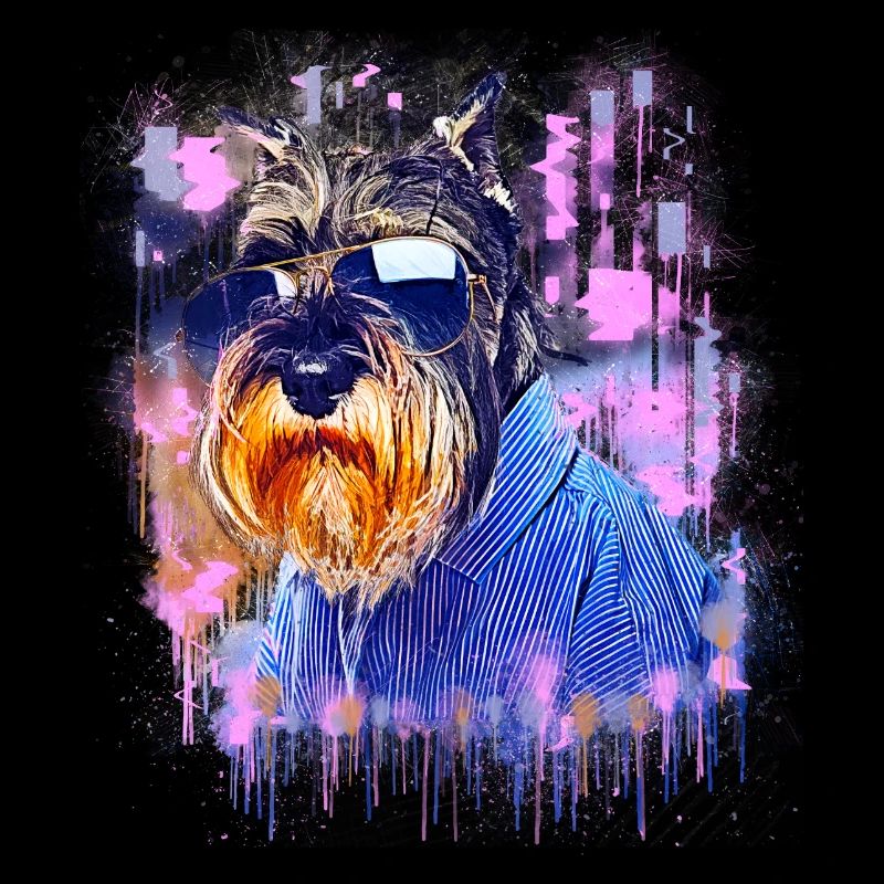 Schnauzer Hund mit Sonnenbrille