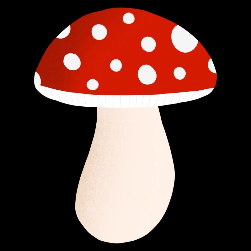 fly agaric mushroom