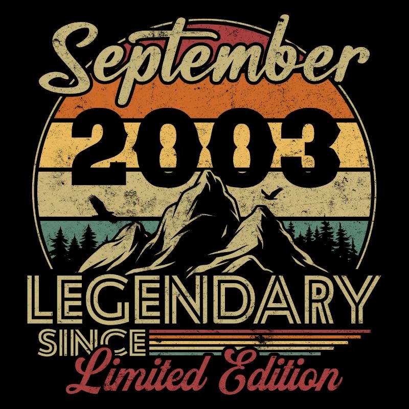Vintage Retro September 2003 Birthday Gift