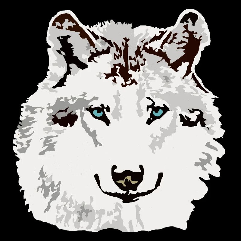 Weisser Wolf blaue Augen