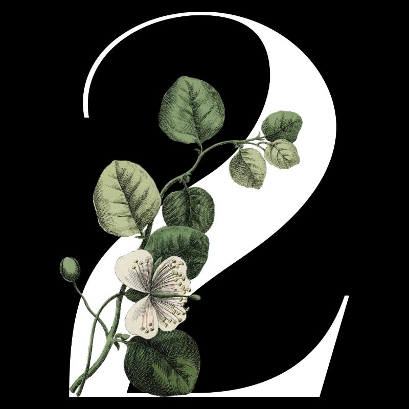 Nummer 2 Blumengrün - 2. Blumengeburtstag