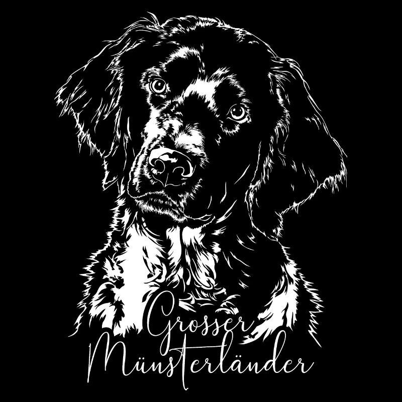 GROSSER MÜNSTERLÄNDER Wilsigns Jagdhund Jagdhunde