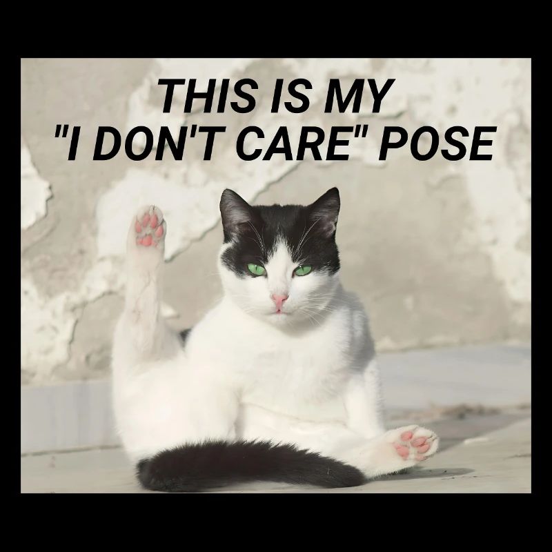 C’EST MA POSE « JE M’EN FICHE » - Meme Cat