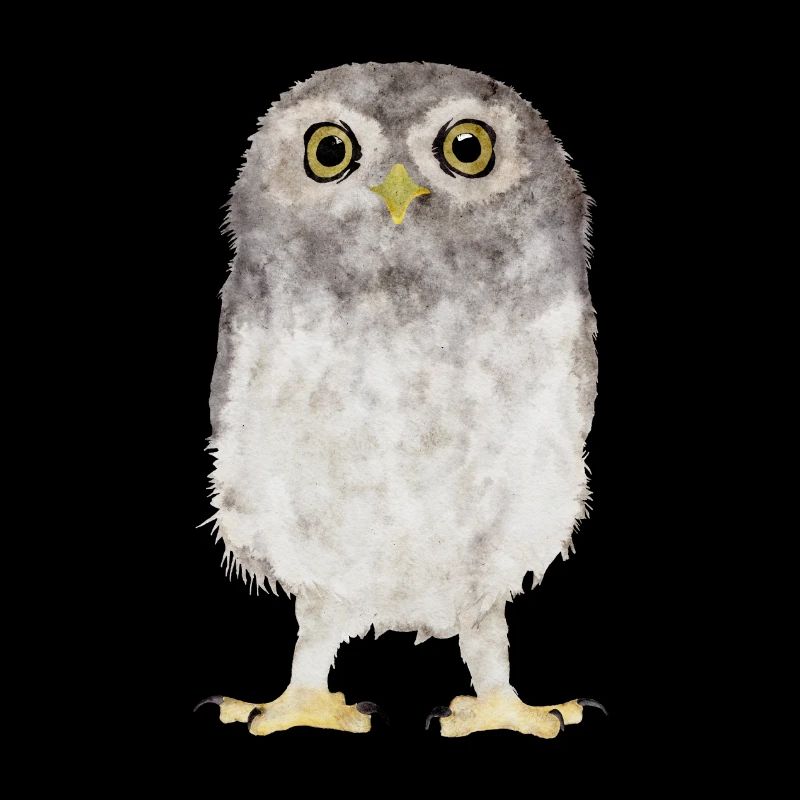 Eule