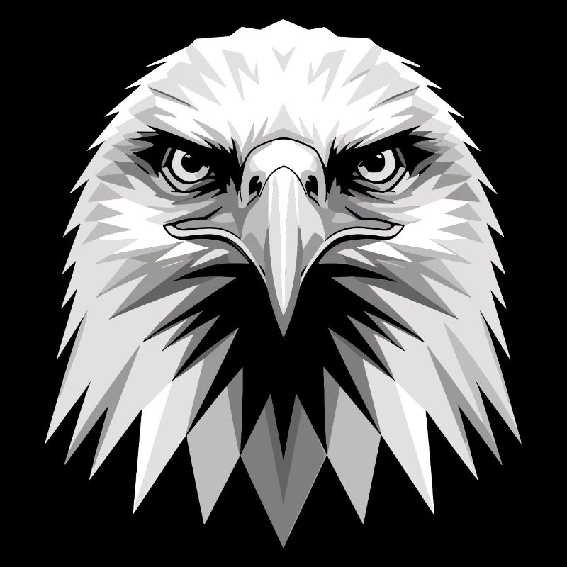 Aigle Pygargue à tête blanche Aigle royal Pygargue à queue blanche