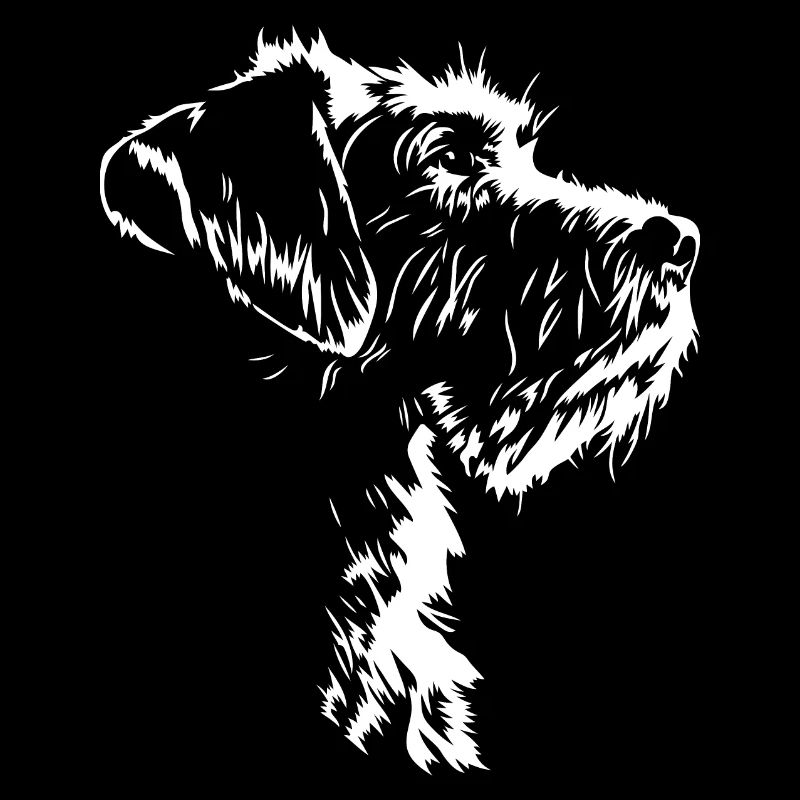 Deutsch Drahthaar Jagdhund Jagdhunde Hund Wilsigns