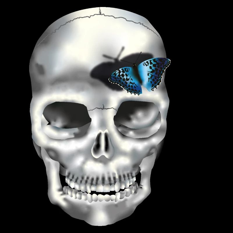 crane papillon bleu