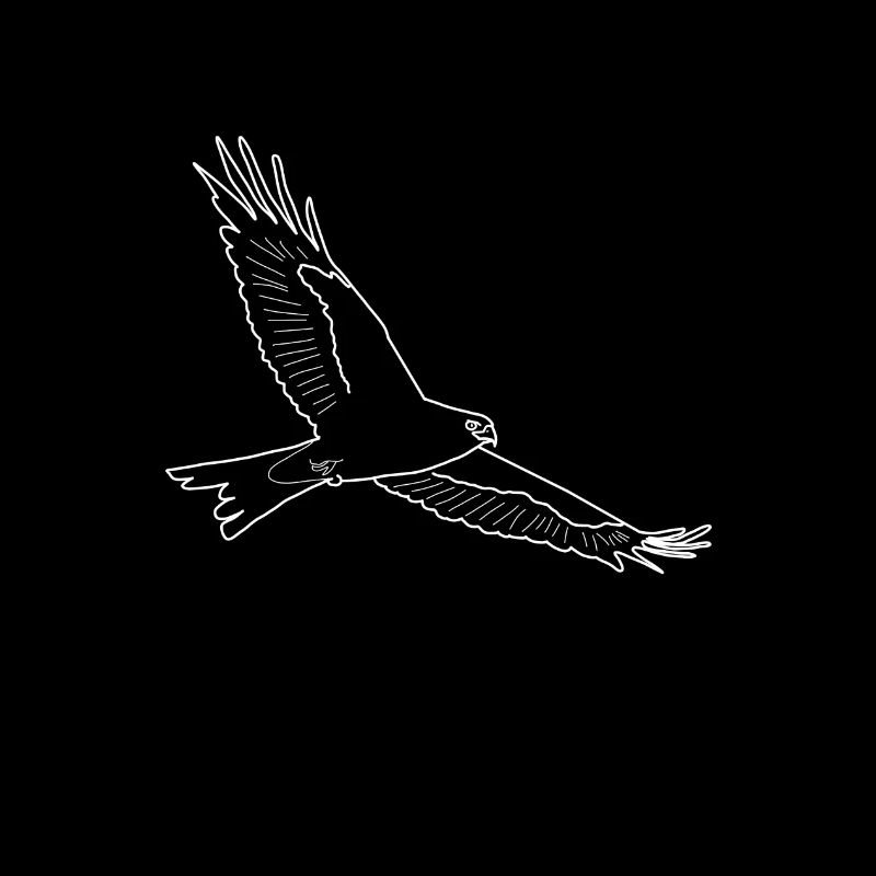 kite