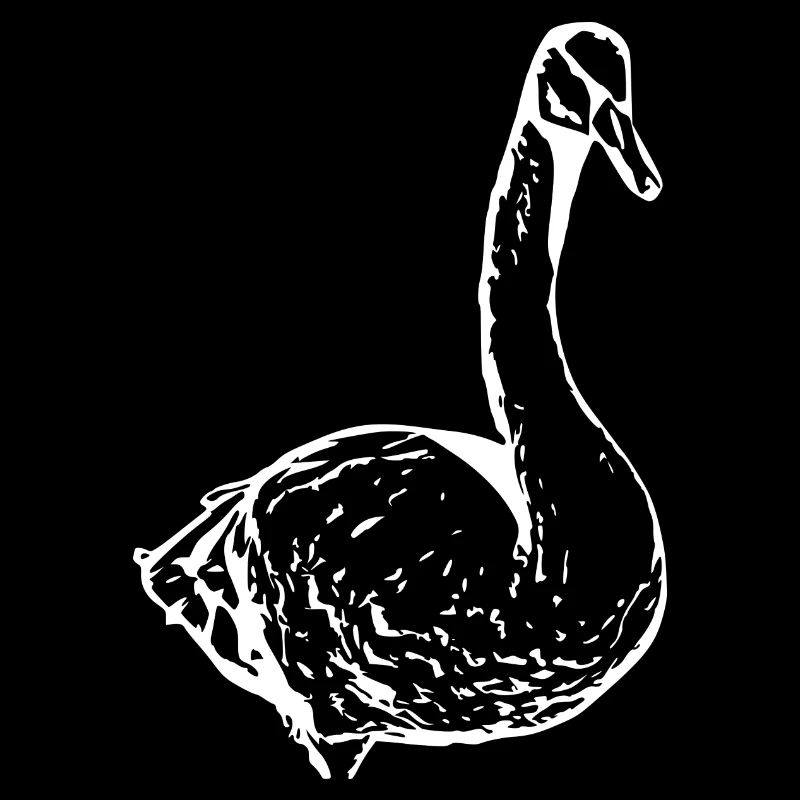 Swan White Duck Bird Goose