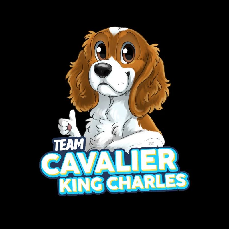TEAM Cavalier King Charles - White & Tan