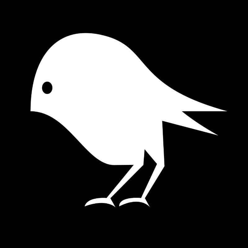 Bird Illustration