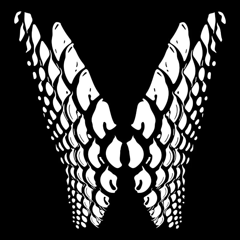 Geometric points in wing shape