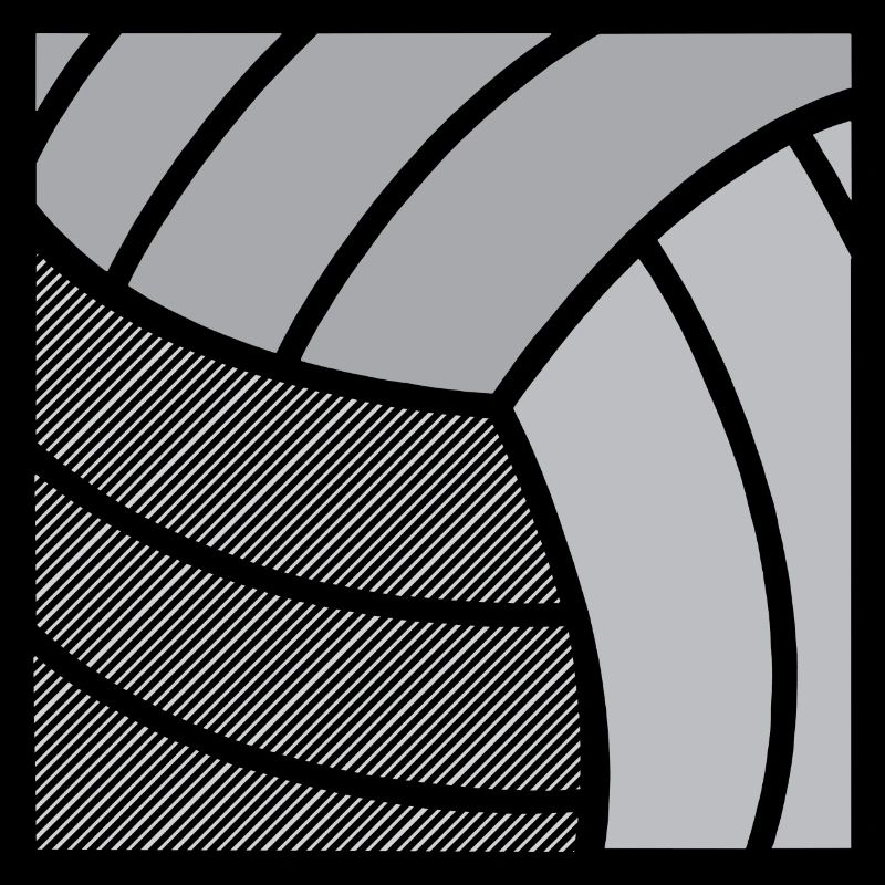 Volley-ball