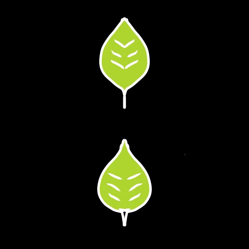 deux feuilles vert feuille naturel