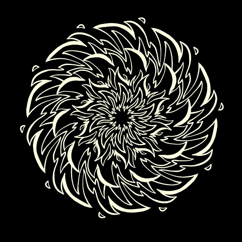 Une fleur de soleil