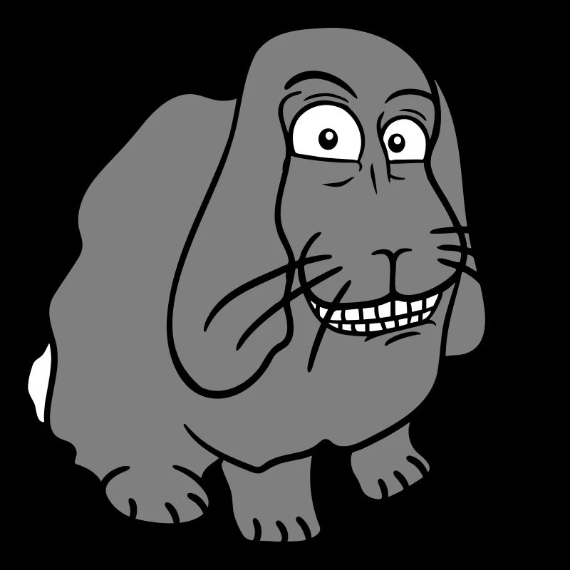 Bunny Rabbit Funny Face Grimace Grin