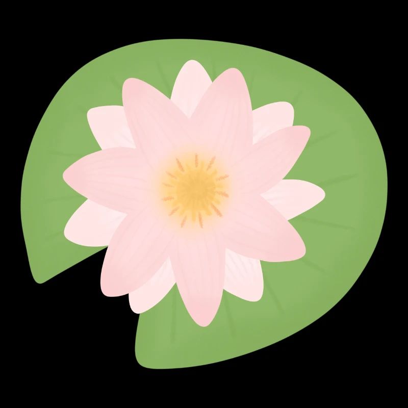 Lotusblüte