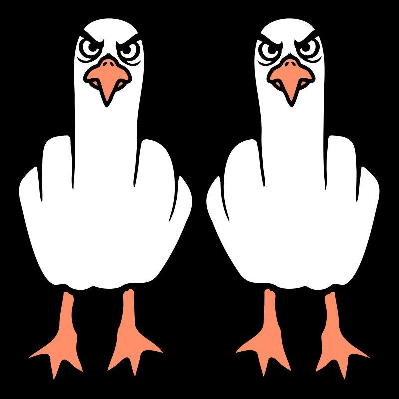 2 Seagulls Middle Finger Insult Stinkfinger Team