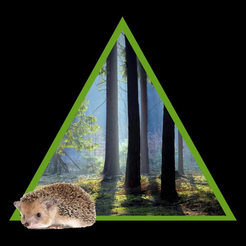 forest 52 with hedgehog