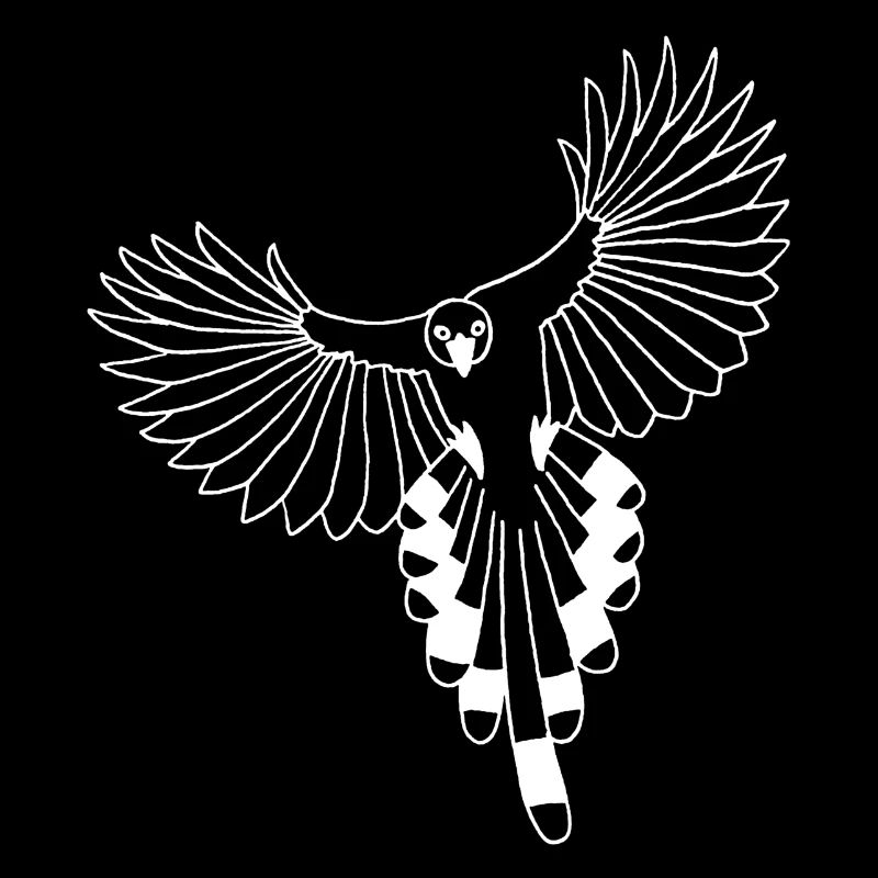 L'envol de l'oiseau blanc