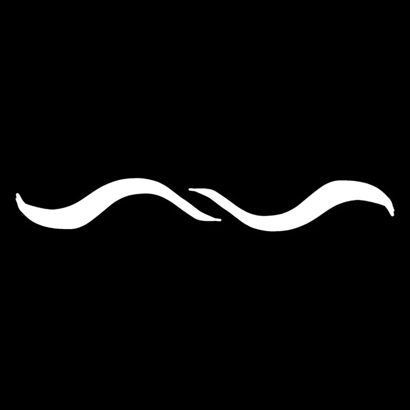 Two Wave Wave Line